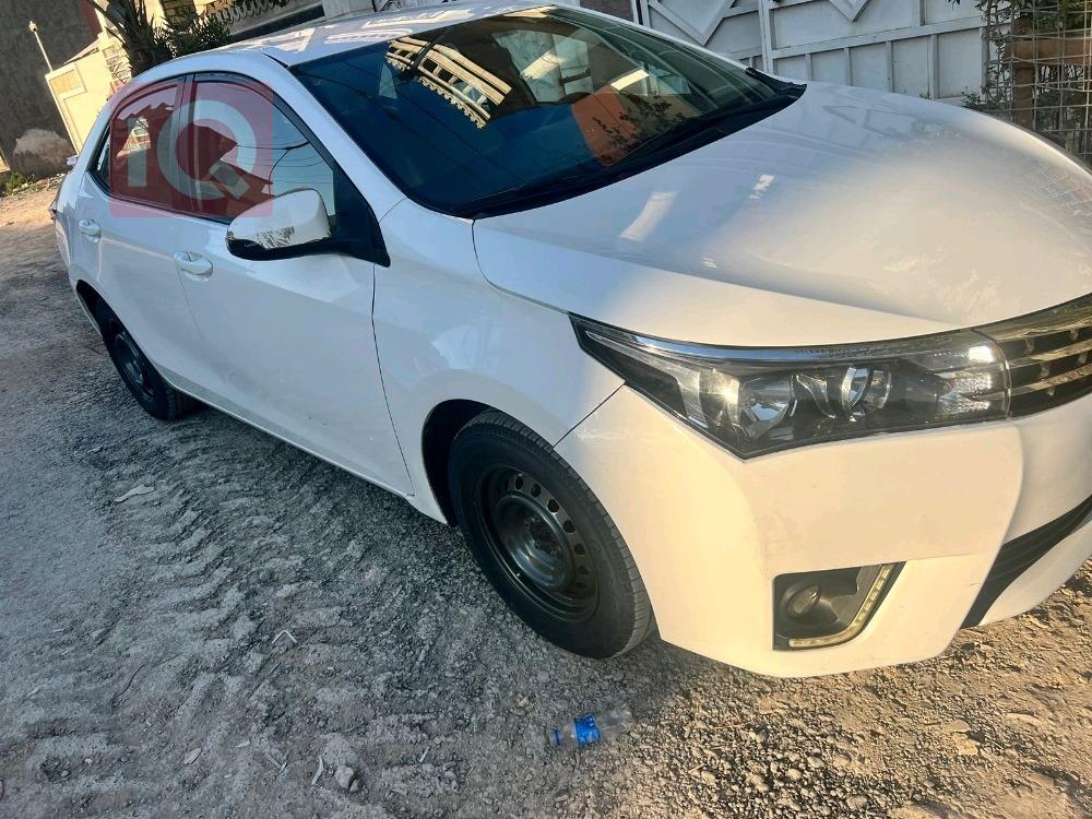 تويوتا كورولا